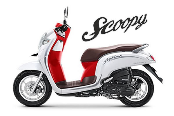Honda Scoopy for rent